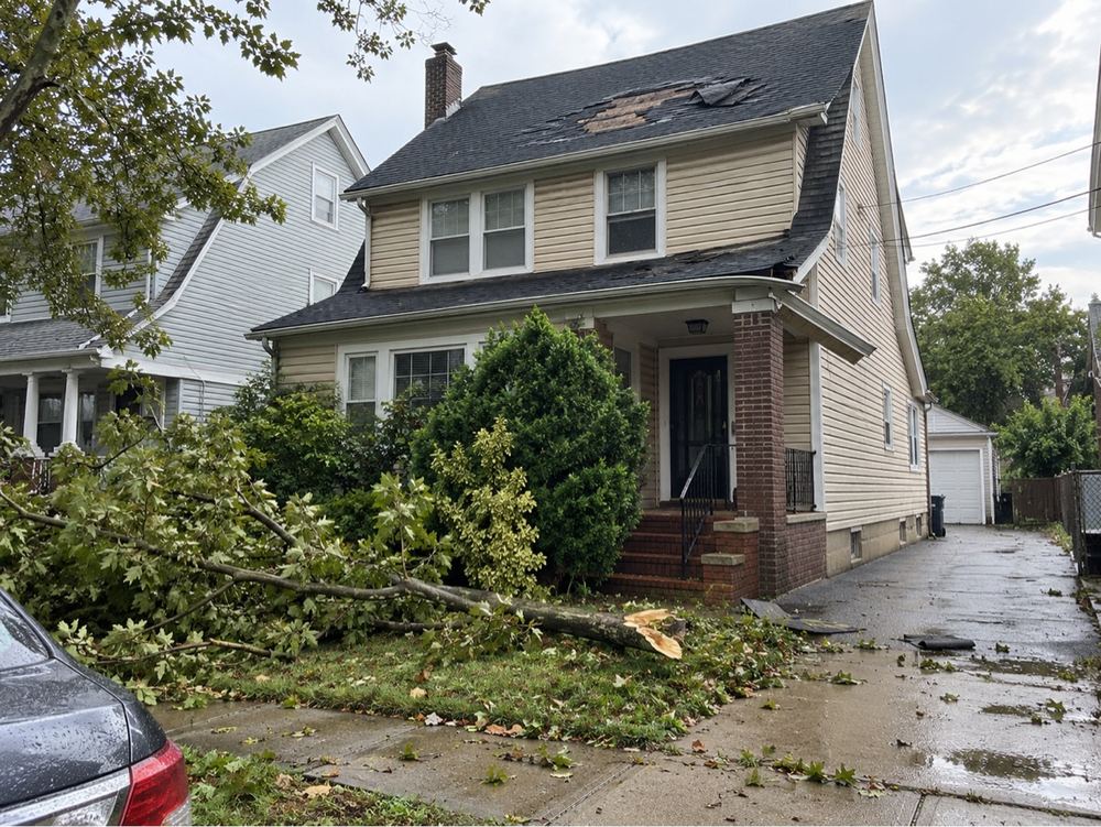 Fallen tree and torn roof shingles after a storm.