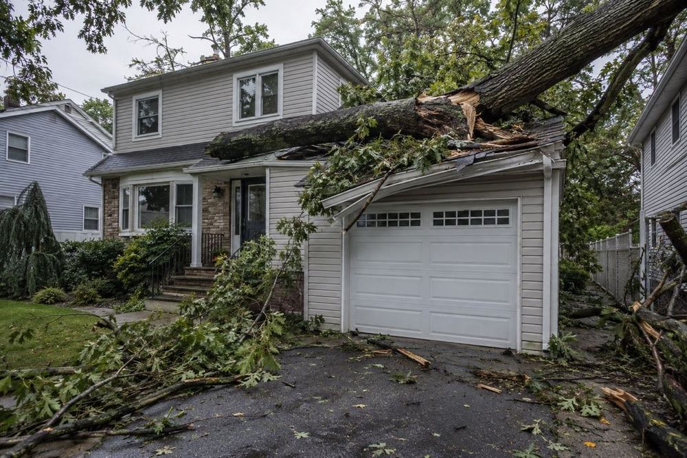 Large fallen tree across a house roof and garage after a storm.